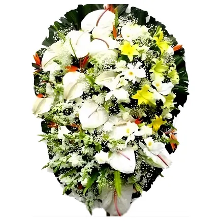 Coroa de Flor Painite